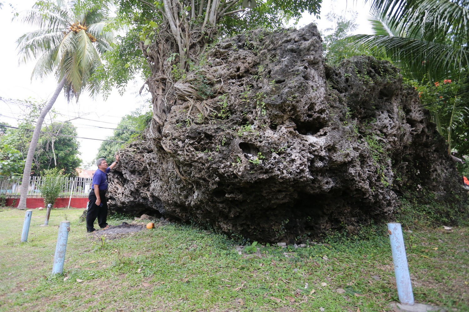 Kuasa Tsunami 1883