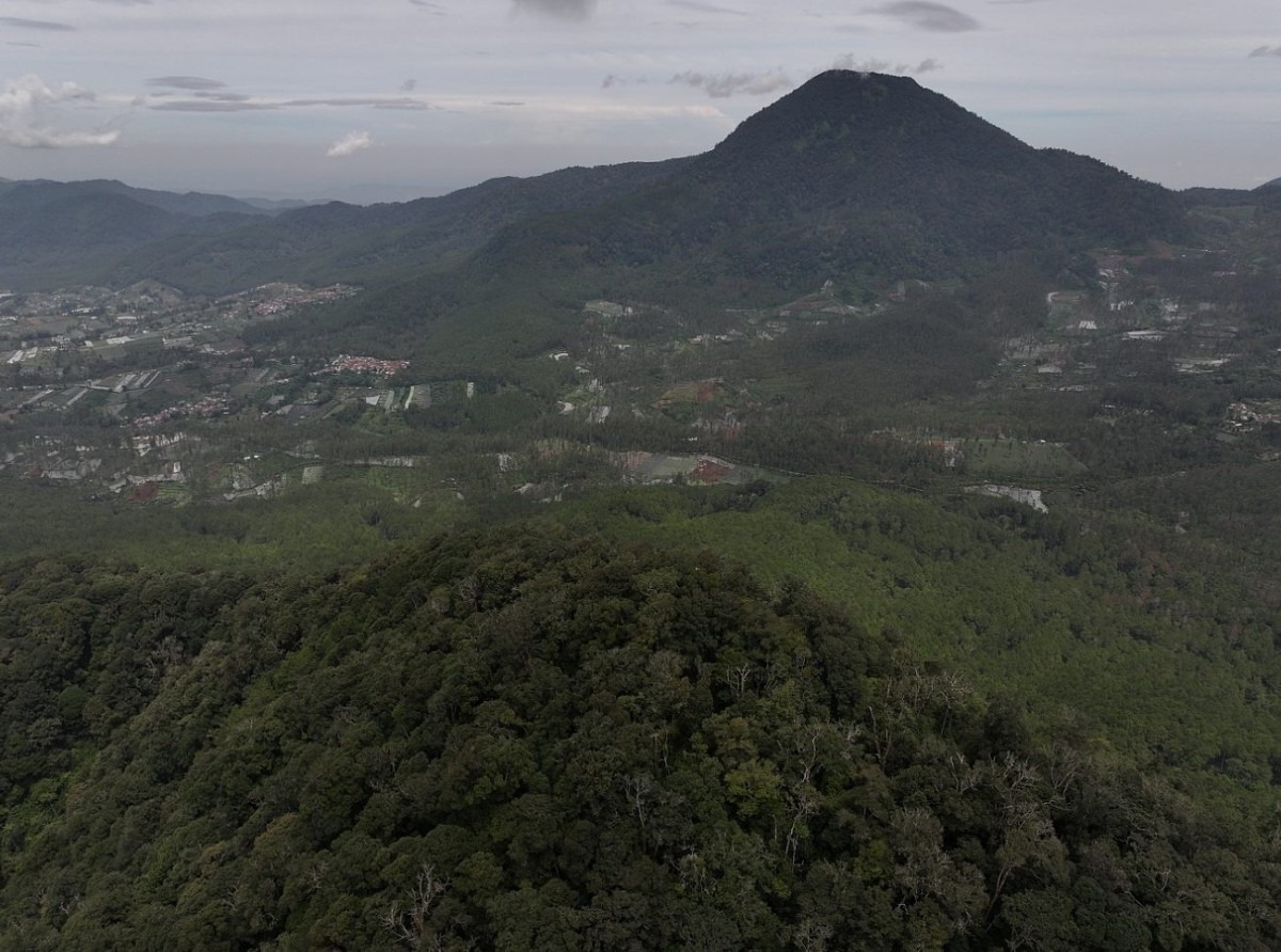 Sesar Lembang Alas Palasari